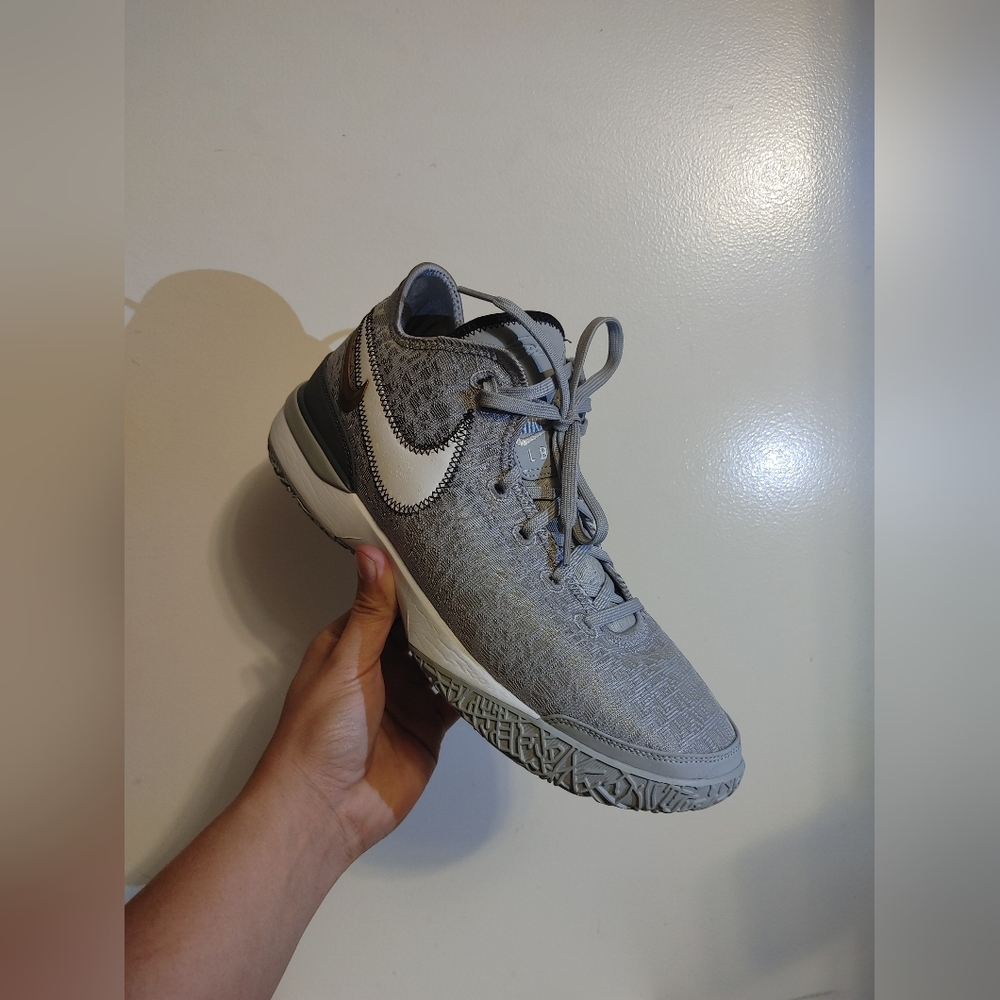 Nike LeBron NXXT Gen Grey Wolf Basketball Sneakers